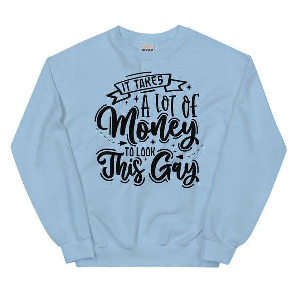 It Takes A Lot Of Money To Look This Gay -- Sweatshirt
