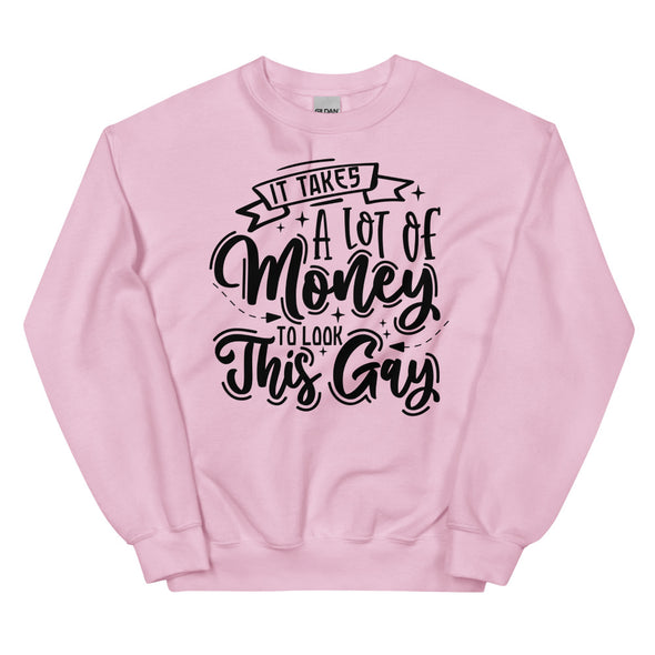 It Takes A Lot Of Money To Look This Gay -- Sweatshirt