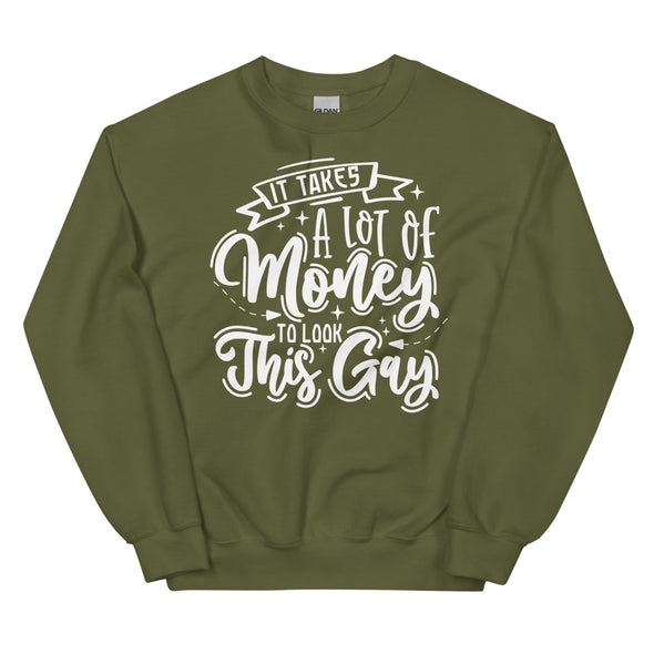It Takes A Lot Of Money To Look This Gay -- Sweatshirt