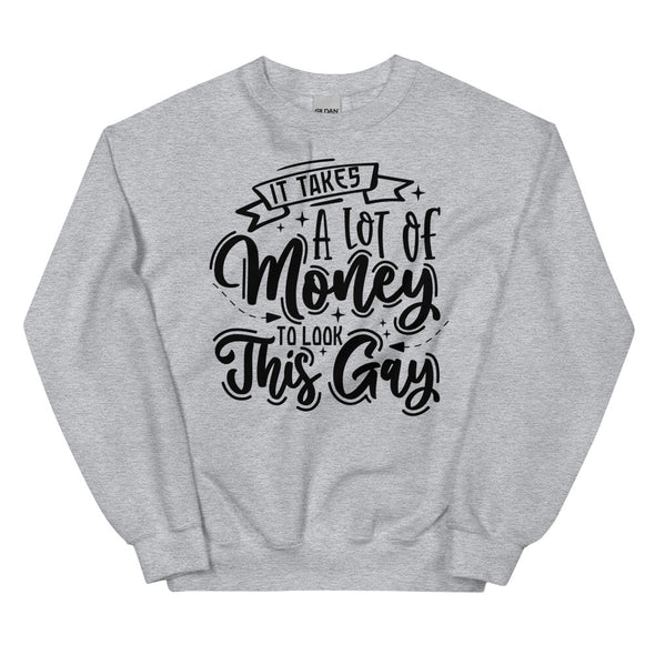 It Takes A Lot Of Money To Look This Gay -- Sweatshirt