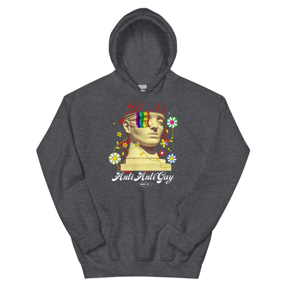 Anti Anti Gay -- Hoodie