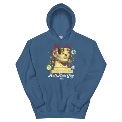 Anti Anti Gay -- Hoodie
