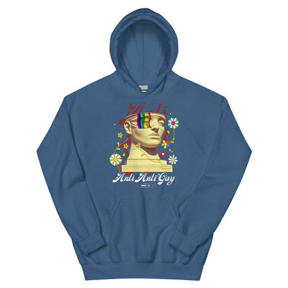 Anti Anti Gay -- Hoodie