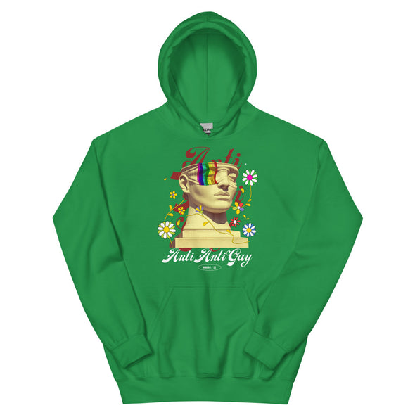 Anti Anti Gay -- Hoodie