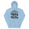 It Takes A Lot Of Money To Look This Gay -- Hoodie
