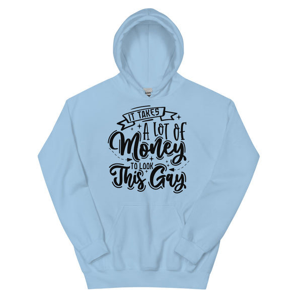 It Takes A Lot Of Money To Look This Gay -- Hoodie