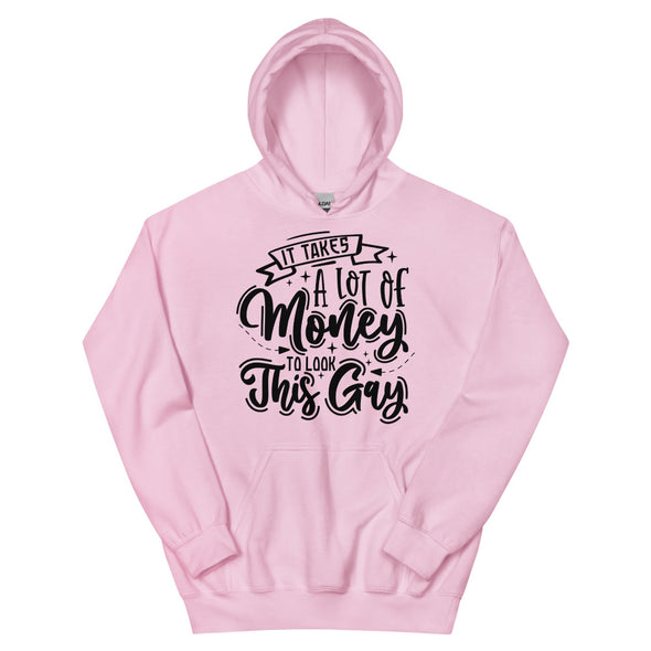 It Takes A Lot Of Money To Look This Gay -- Hoodie