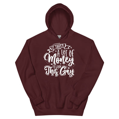 It Takes A Lot Of Money To Look This Gay -- Hoodie