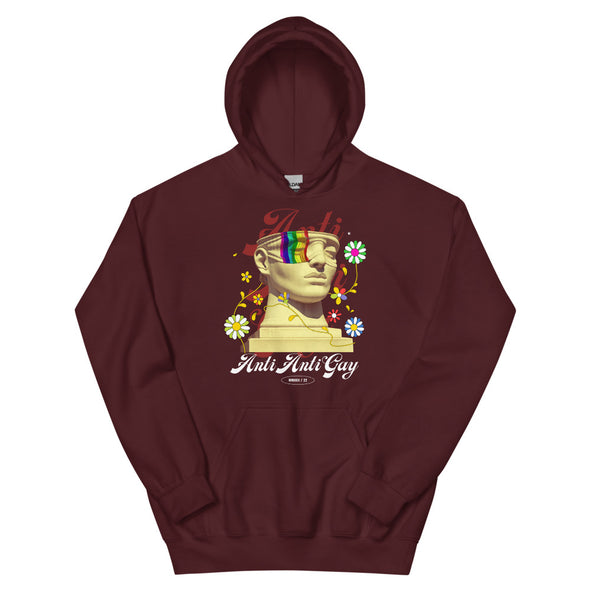 Anti Anti Gay -- Hoodie