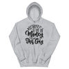 It Takes A Lot Of Money To Look This Gay -- Hoodie