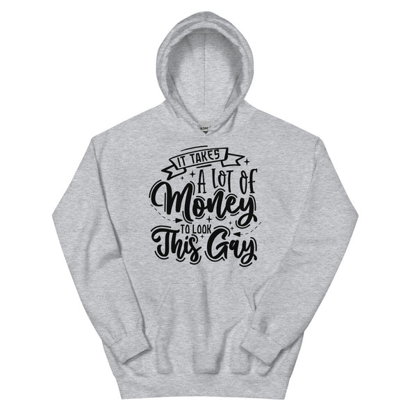 It Takes A Lot Of Money To Look This Gay -- Hoodie