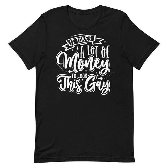 It Takes A Lot Of Money To Look This Gay -- Short-Sleeve T-shirt