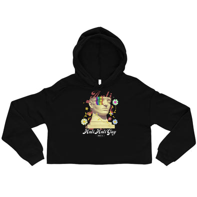 Anti Anti Gay -- Crop Hoodie