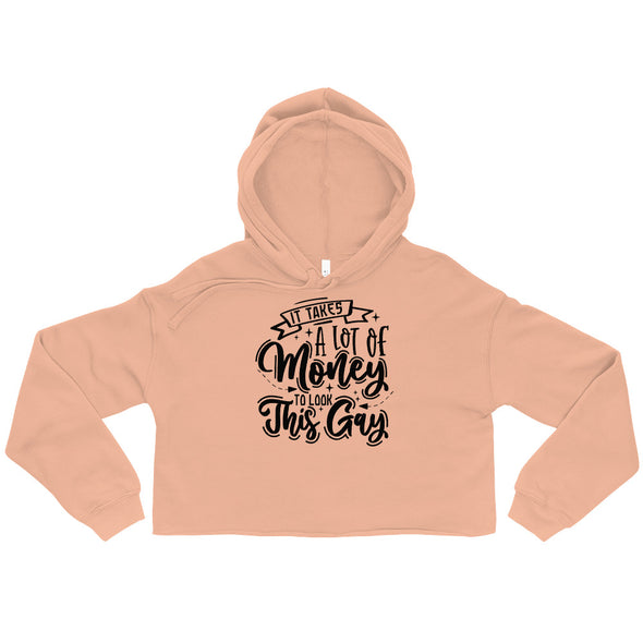 It Takes A Lot Of Money To Look This Gay -- Crop Hoodie